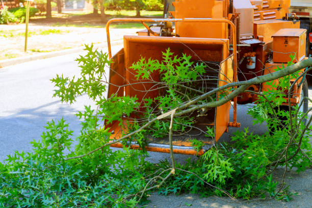 Lawn Irrigation Installation and Maintenance in Kiryas Joel, NY